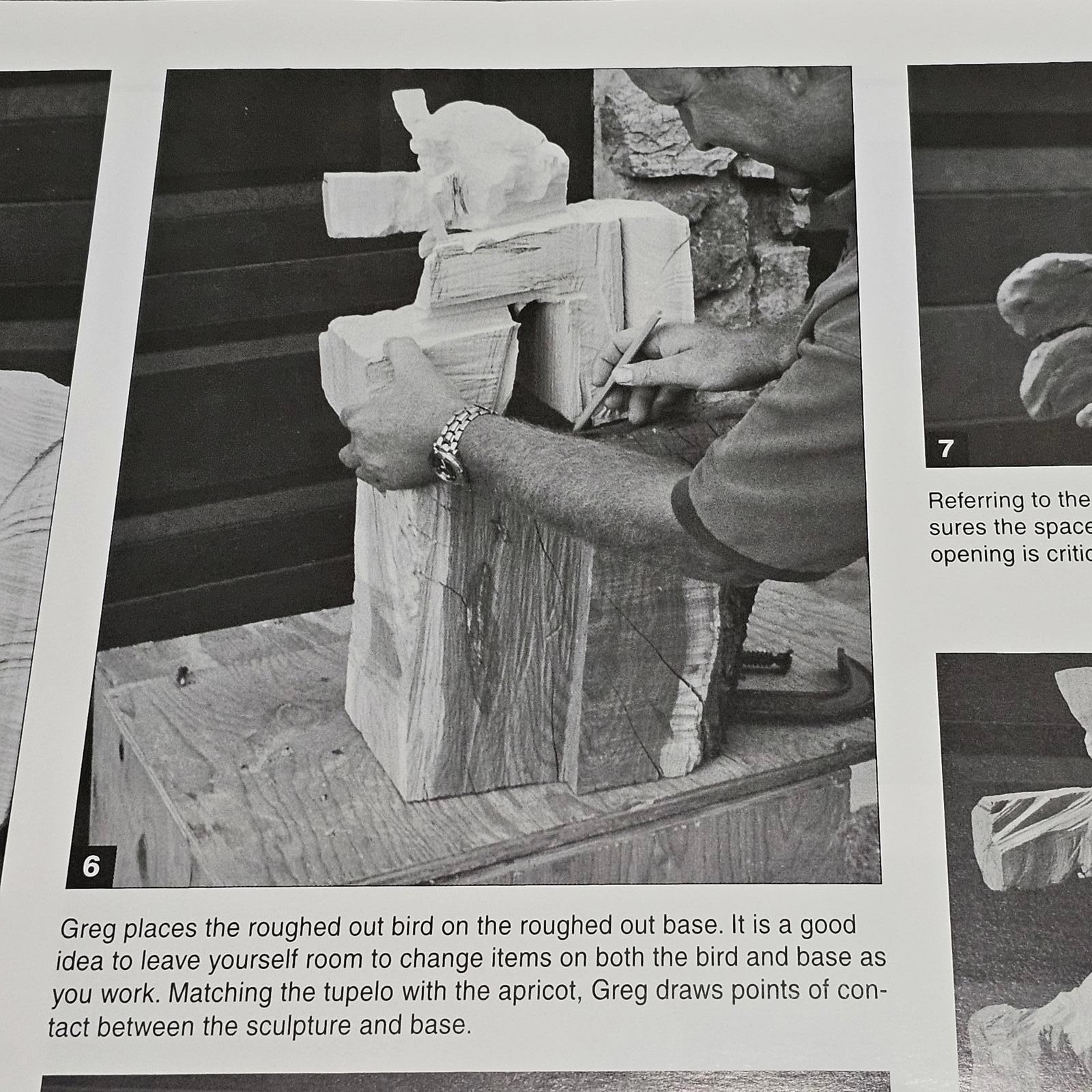 Wildfowl Carving Magazine Workbench Projects Lifesize Merlin How-To Book