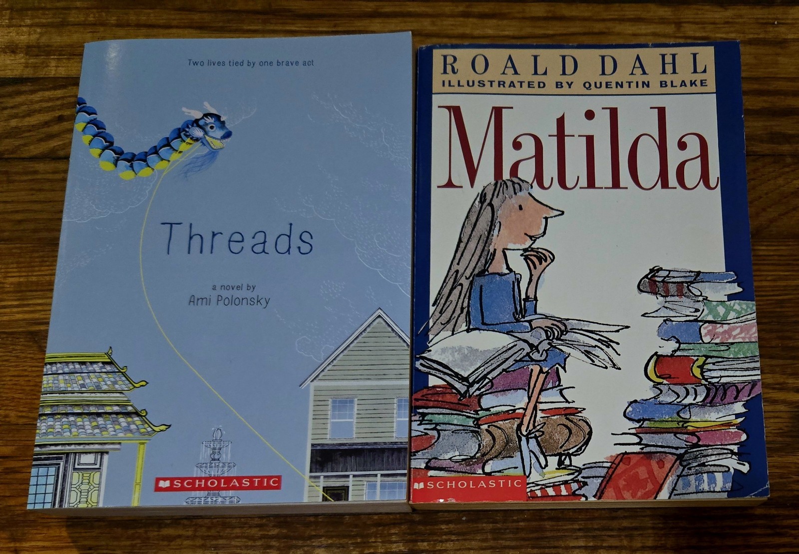4th 5th Grade 20 Chapter Books Teacher Classroom Library Set Homeschool FB585