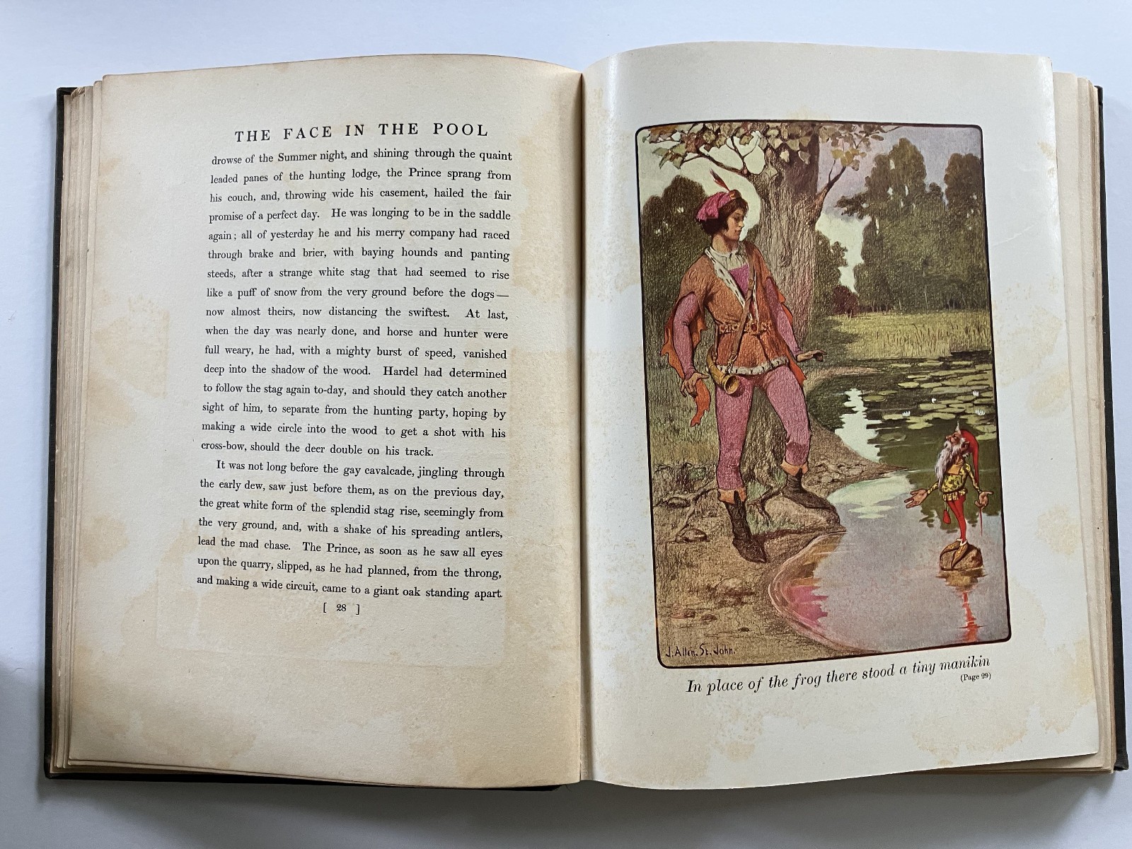 The Face In The Pool: A Faerie Tale, J. Allen St. John, 1st Ed, 1905, Signed