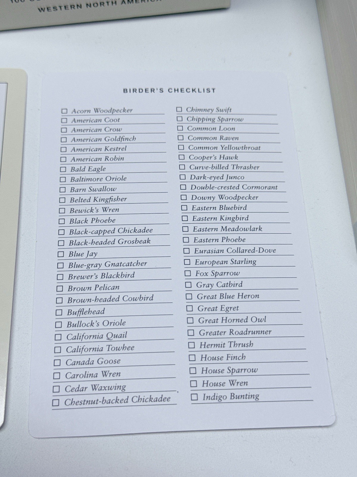 Sibley Backyard Birding Flashcards, Revised and Updated: 100 Common Birds…