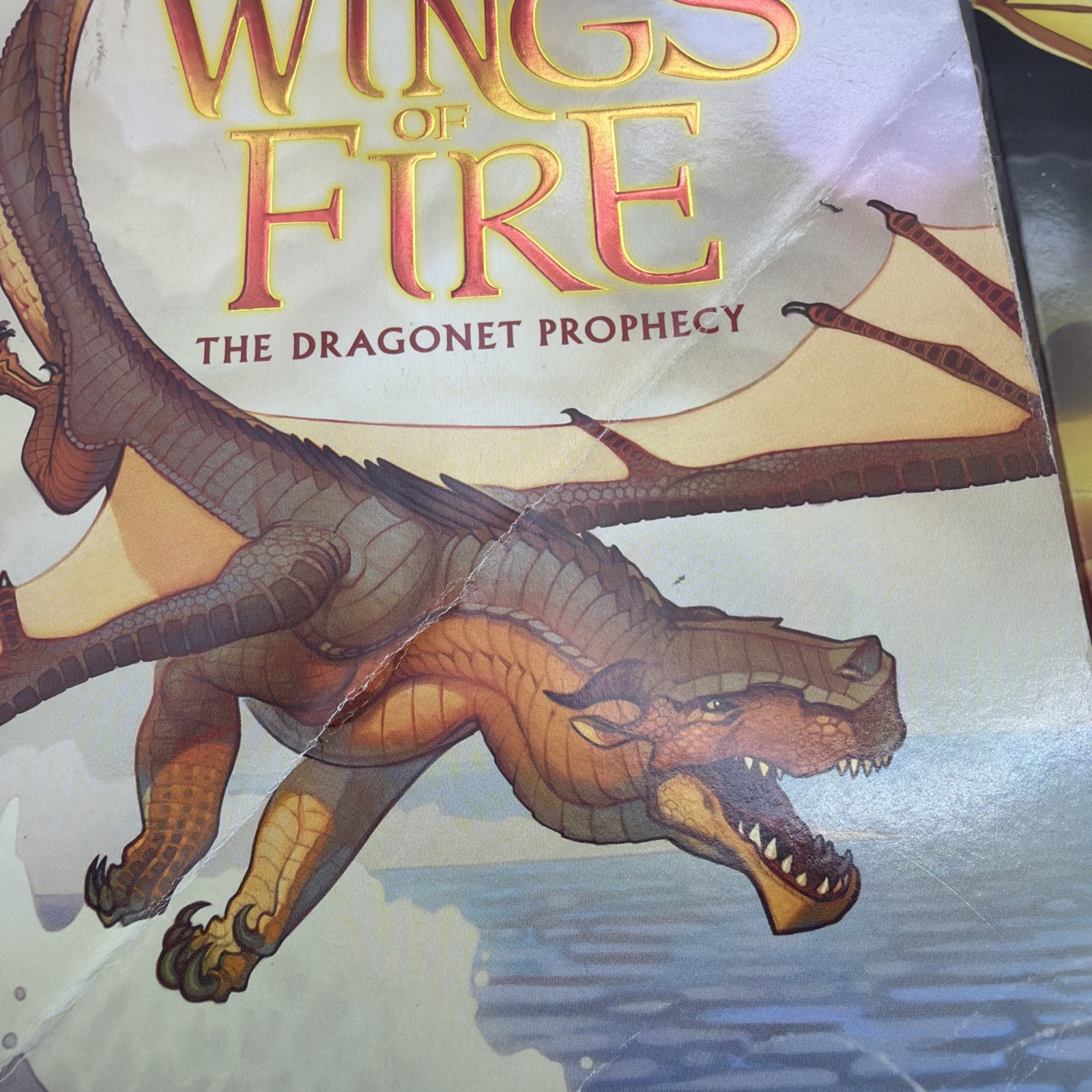 Wings of Fire Boxset, Books 1-5 See Pics