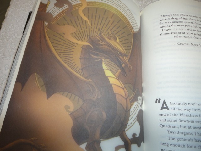 Fourth Wing SIGNED & Iron Flame Bookish Box Luxe Edition Rebecca Yarros Overlays