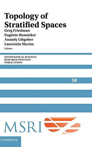 Topology of Stratified Spaces: 58 (Mathematical Sciences (2011)