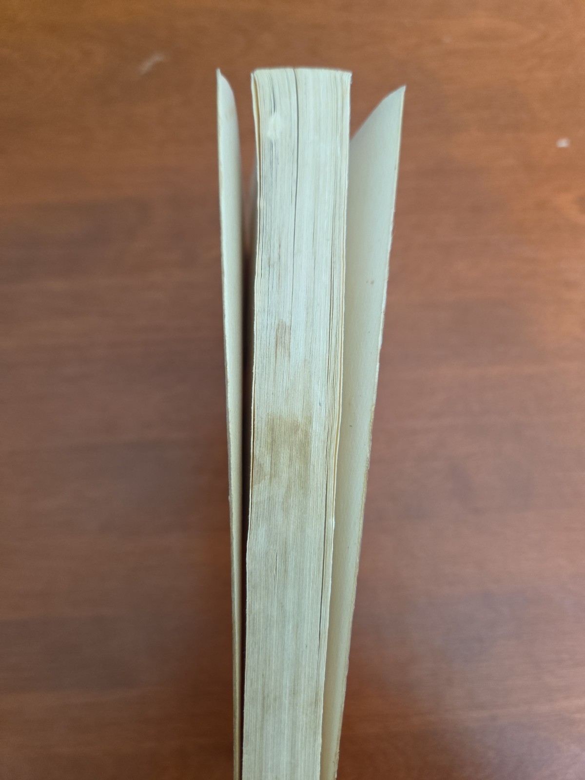 Spiritual Yoga for the Millions by Edward Albertson – Vintage (1969) Paperback