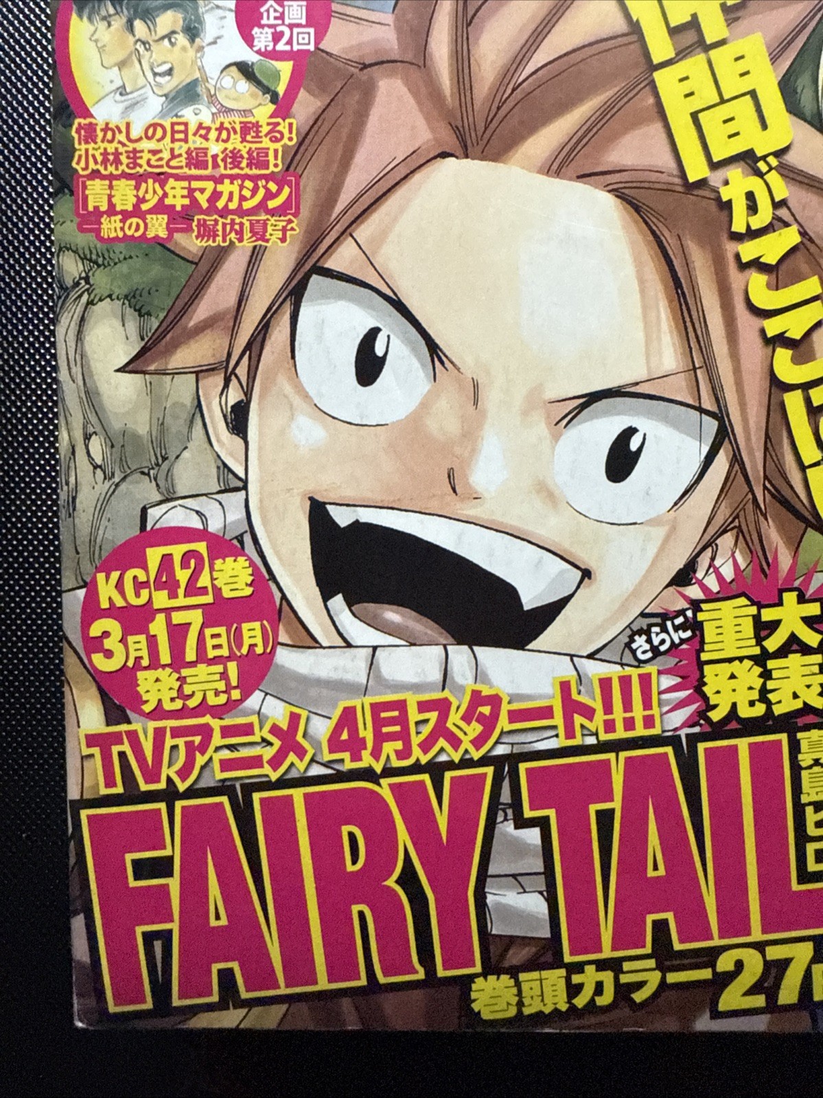 Weekly Shonen Magazine 2014 No.13 Fairy Tail