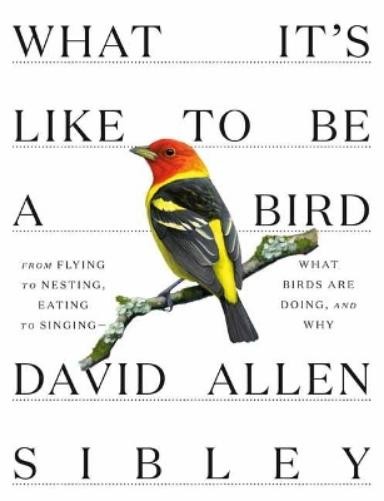David Allen Sibley What It’s Like to be a Bird (Hardback)
