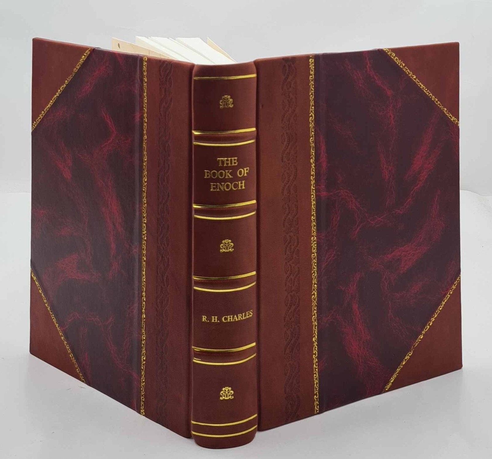The Book Of Enoch 1893 By Dillmann, R. H. Charles [Leather Bound]