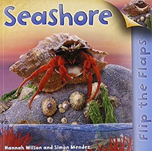 Flip the Flaps: Seashore Picture Book Hannah, Mendez, Simon Wilso