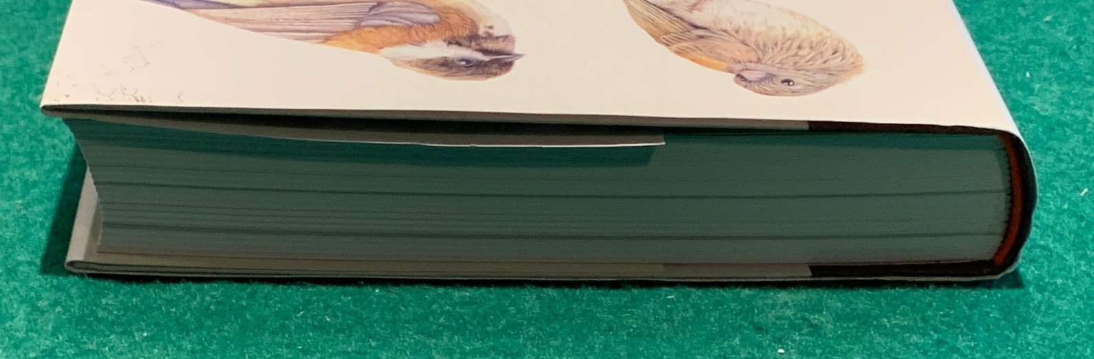 The Backyard Bird Chronicles Amy Tan SIGNED BOOKPLATE w/ Postcard 4th Print 2024