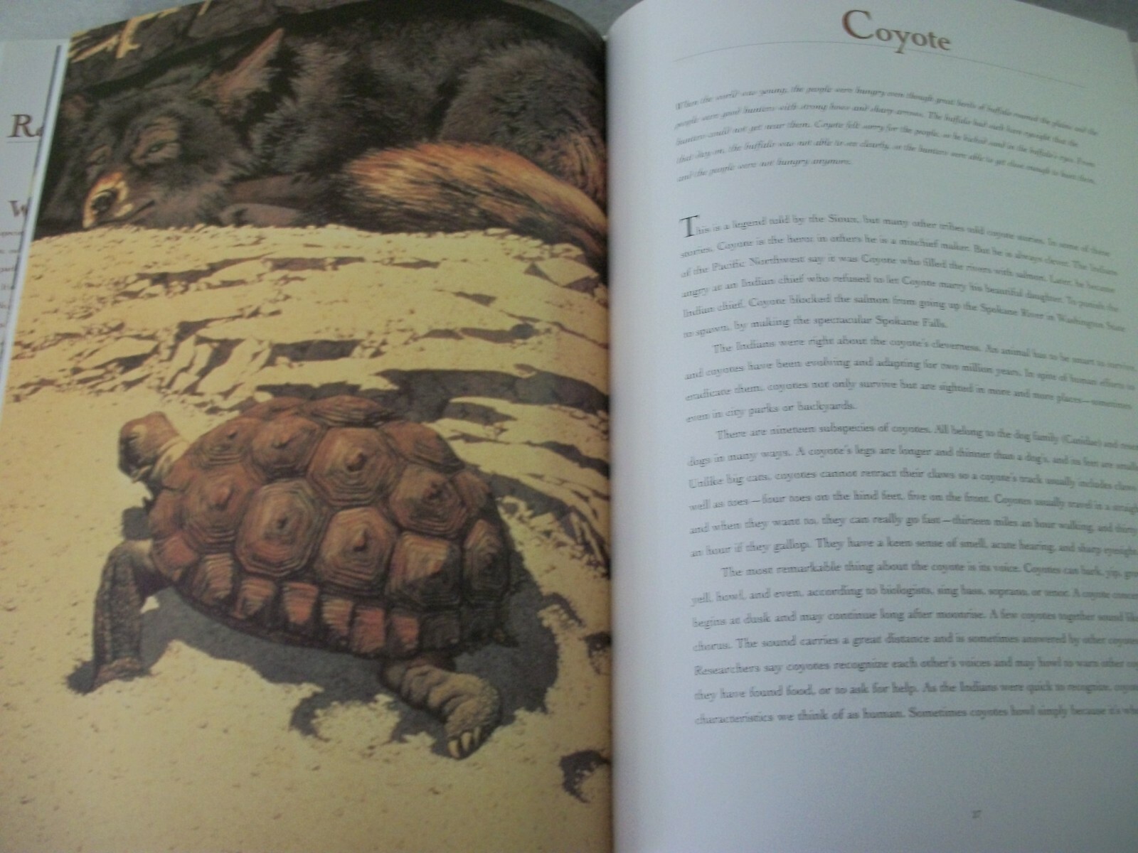 Bev Doolittle Book – Reading the Wild by Elise Maclay – First Edition – SIGNED
