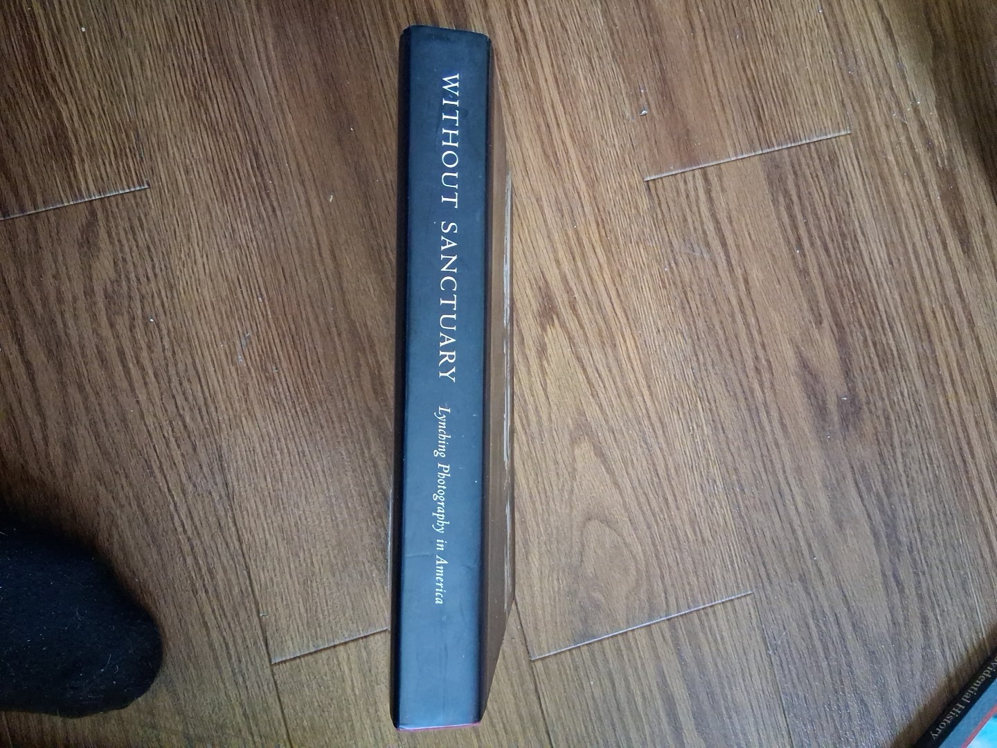 Without Sanctuary: Lynching Photography In America by James Allen, (2003). ÷