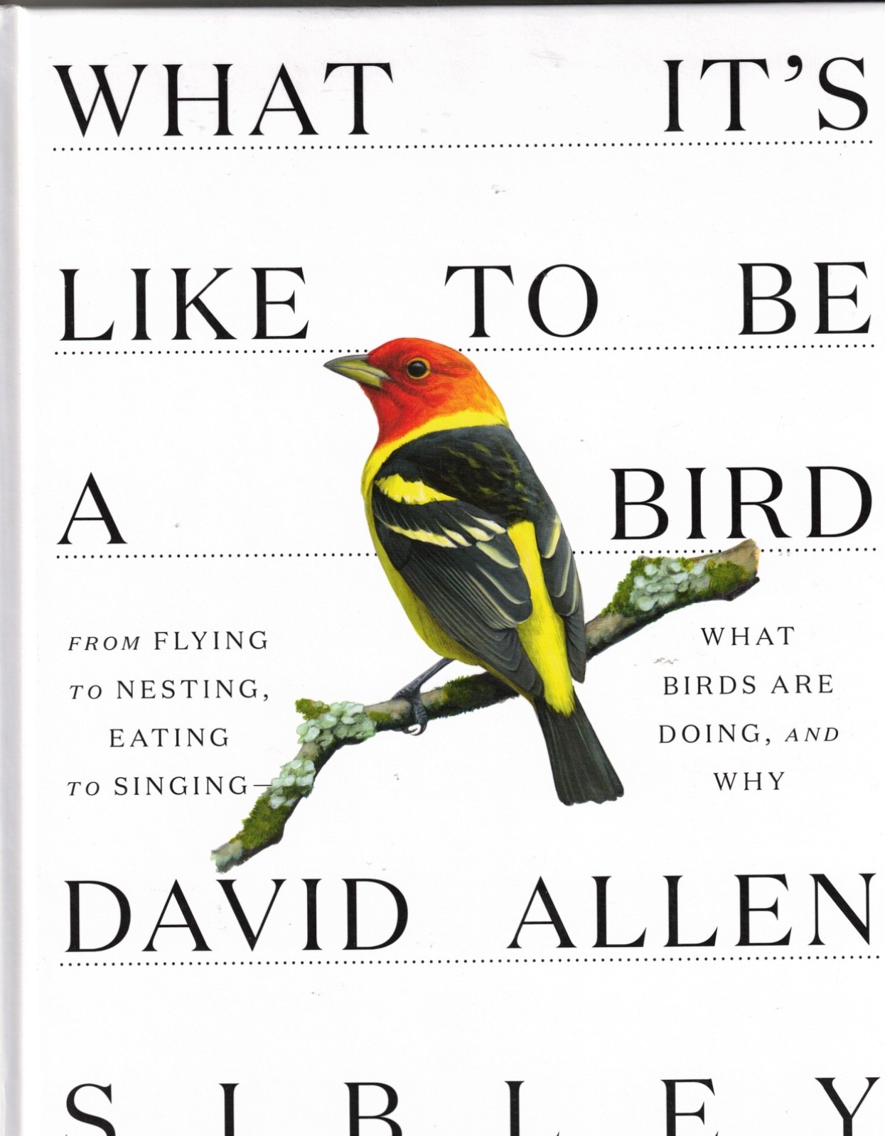 What It’s Like to Be a Bird:From Flying to Nesting, Eating to Singing-Brand New