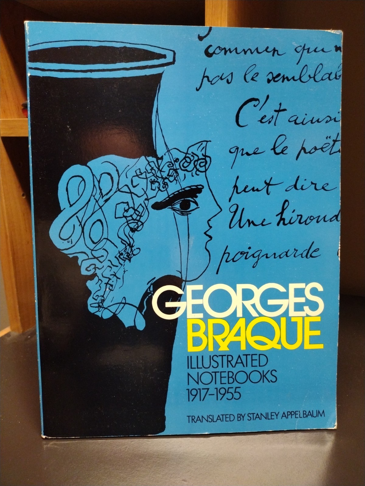 Georges Braque Illustrated Notebooks 1917-1955 Translated Stanley Appelbaum 1971