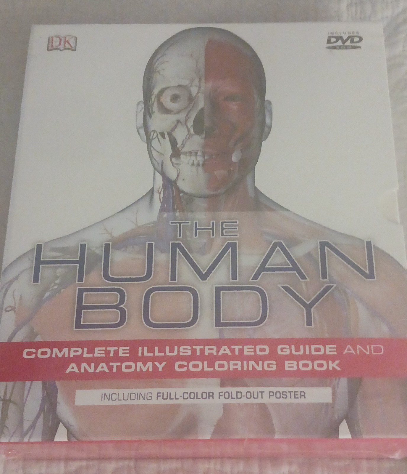 The Human Body -Complete Illustrated Guide & Anatomy Coloring Book from DK