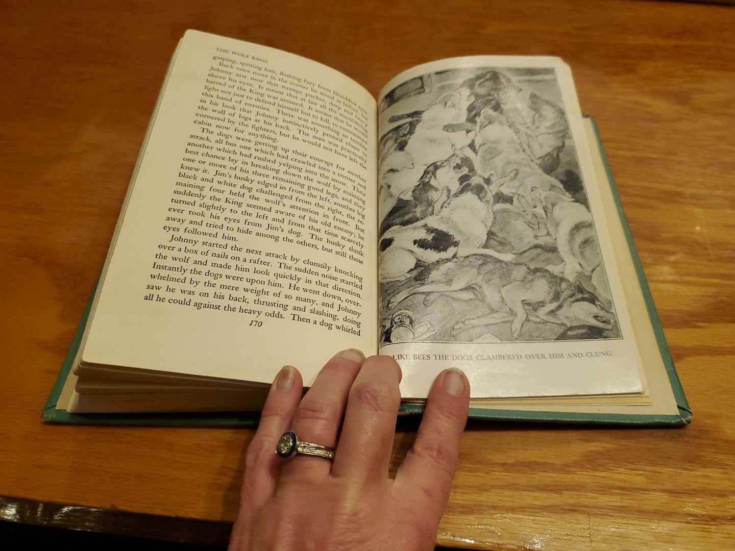 The Wolf King by Joseph Wharton Lippincott, illus. by Paul Bransom 1949 HC