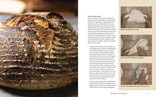 Evolutions in Bread: Artisan Pan Breads and Dutch-Oven Loaves at Home [A baking