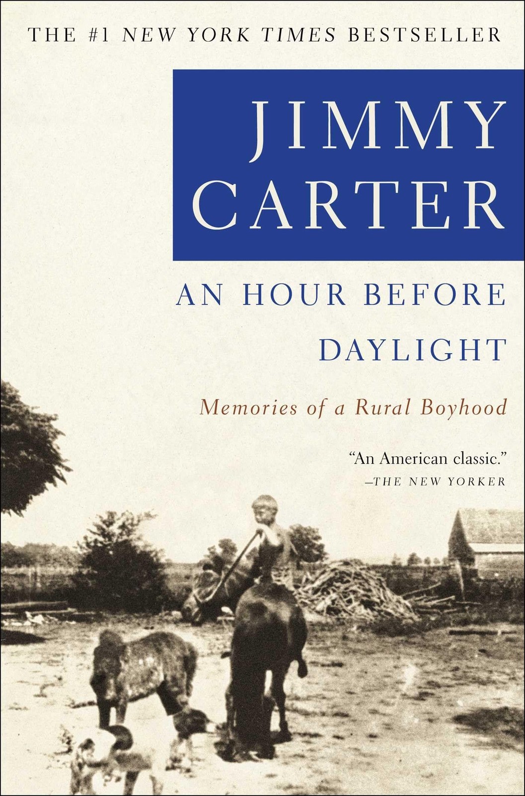 An Hour Before Daylight: Memories of a Rural Boyhood – paperback Carter, Jim…