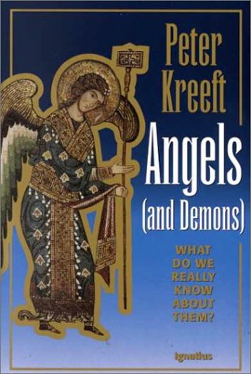 Angels and Demons : What Do We Really Know about Them? Paperback