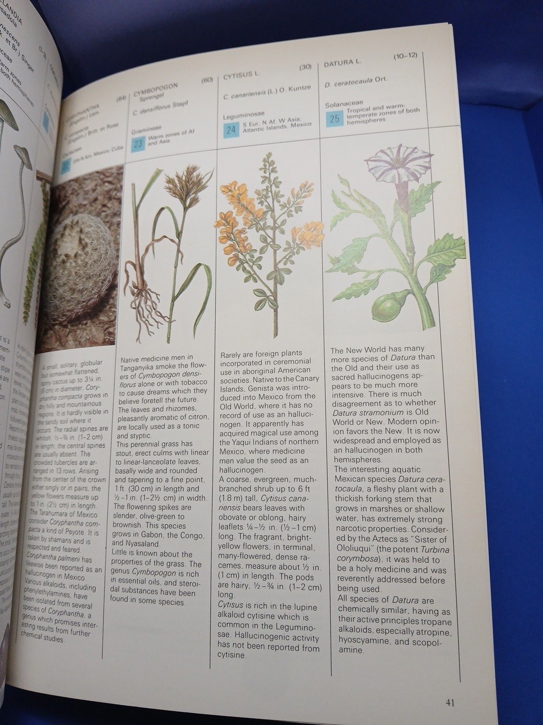 Plants of the Gods Origins of Hallucinogenic Use Schultes Evans Hoffman 1979
