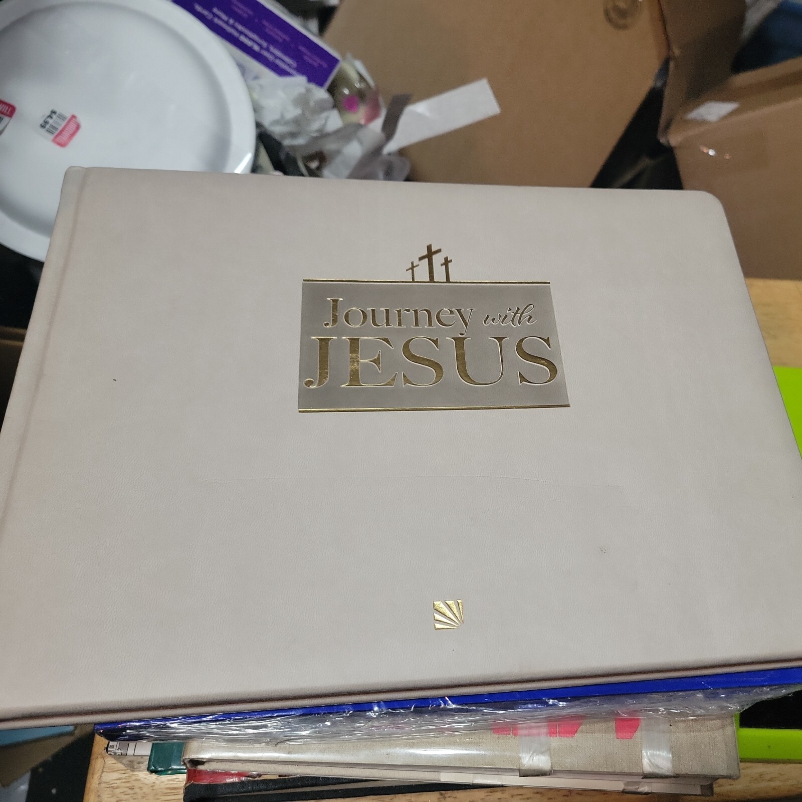 Journey with Jesus Stations of the Cross Picture Book