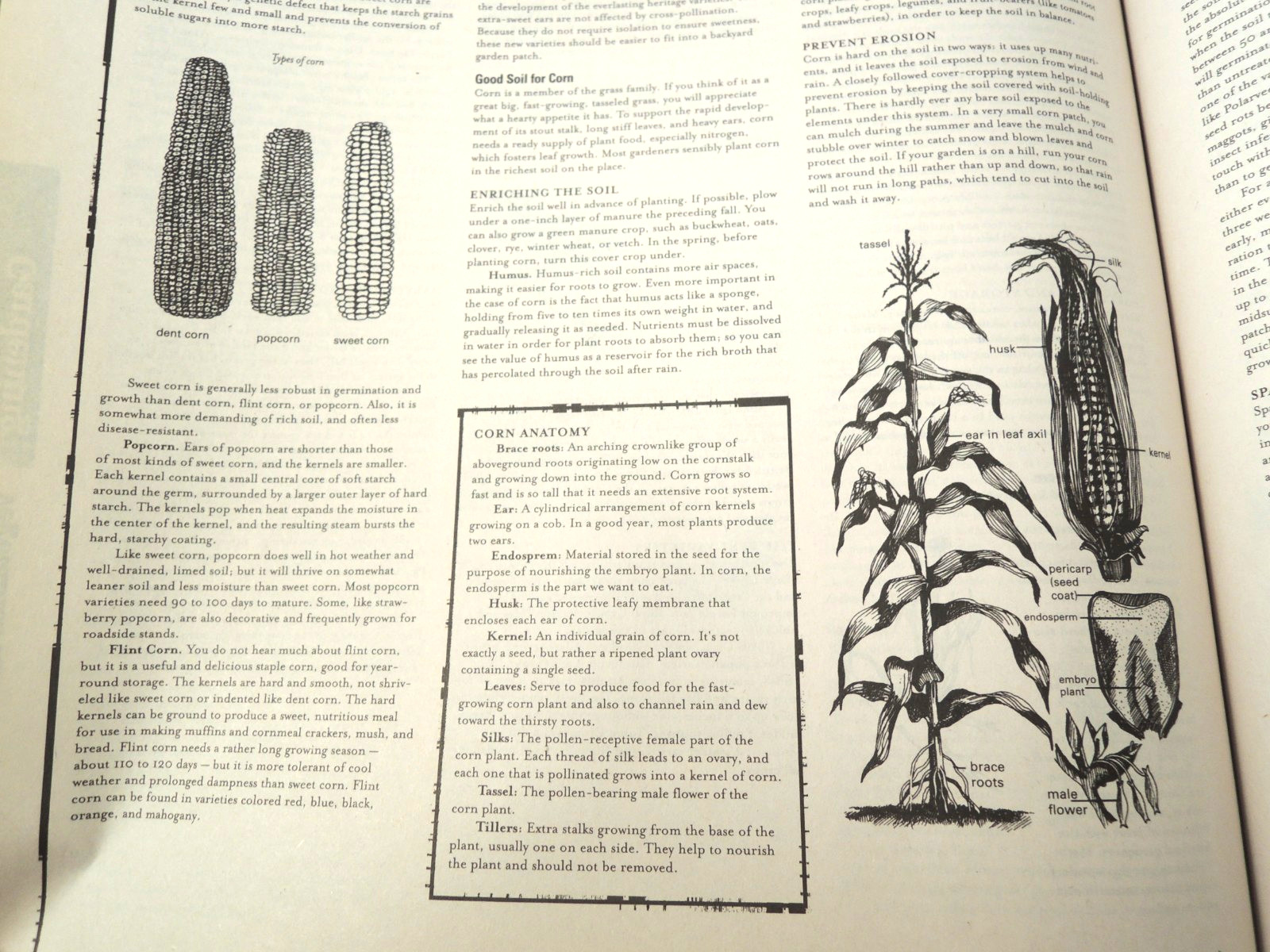 Country Wisdom & Know How Prepping Self Sufficient Living Large Paperback 2004