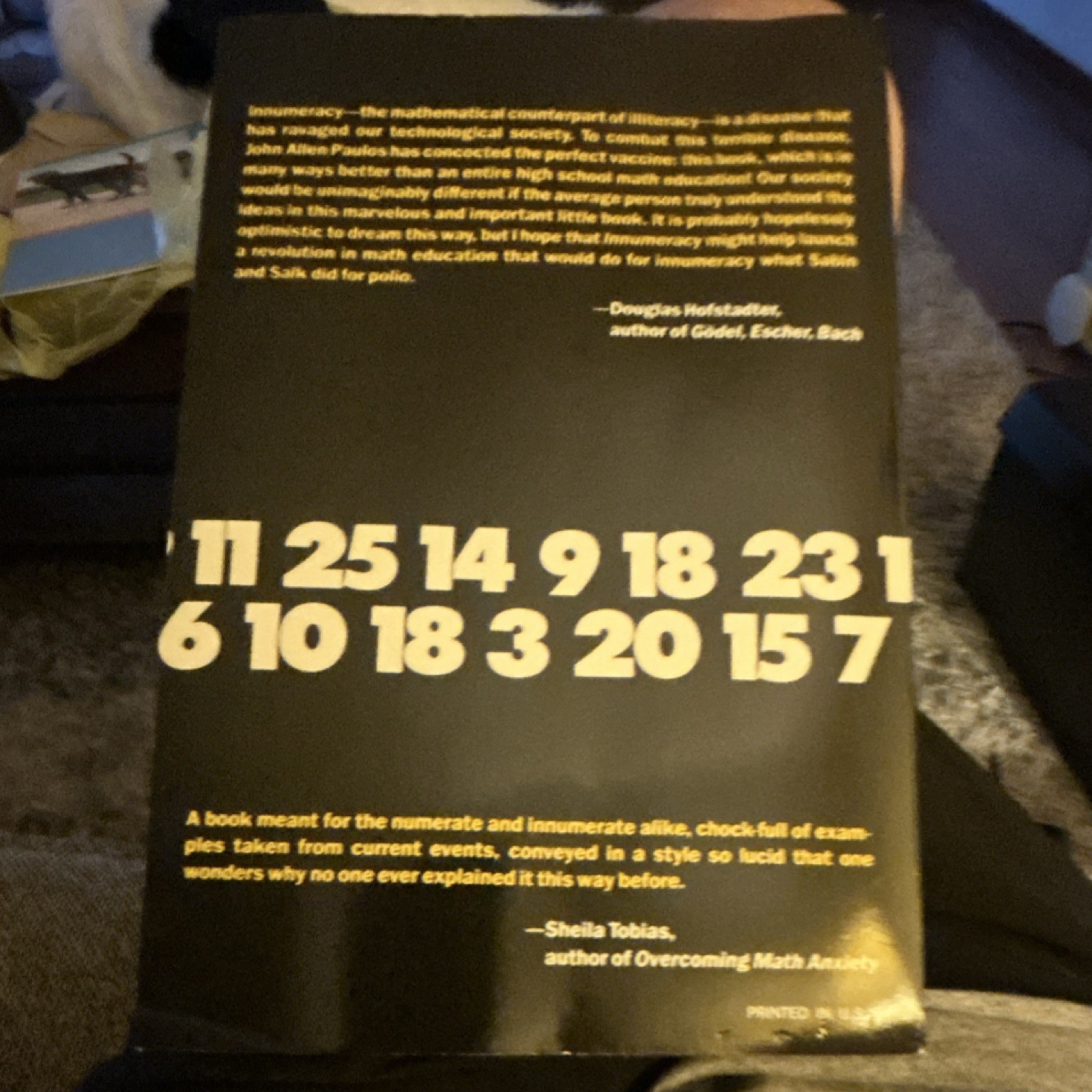 Innumeracy by John Allen Paulos, Paperback