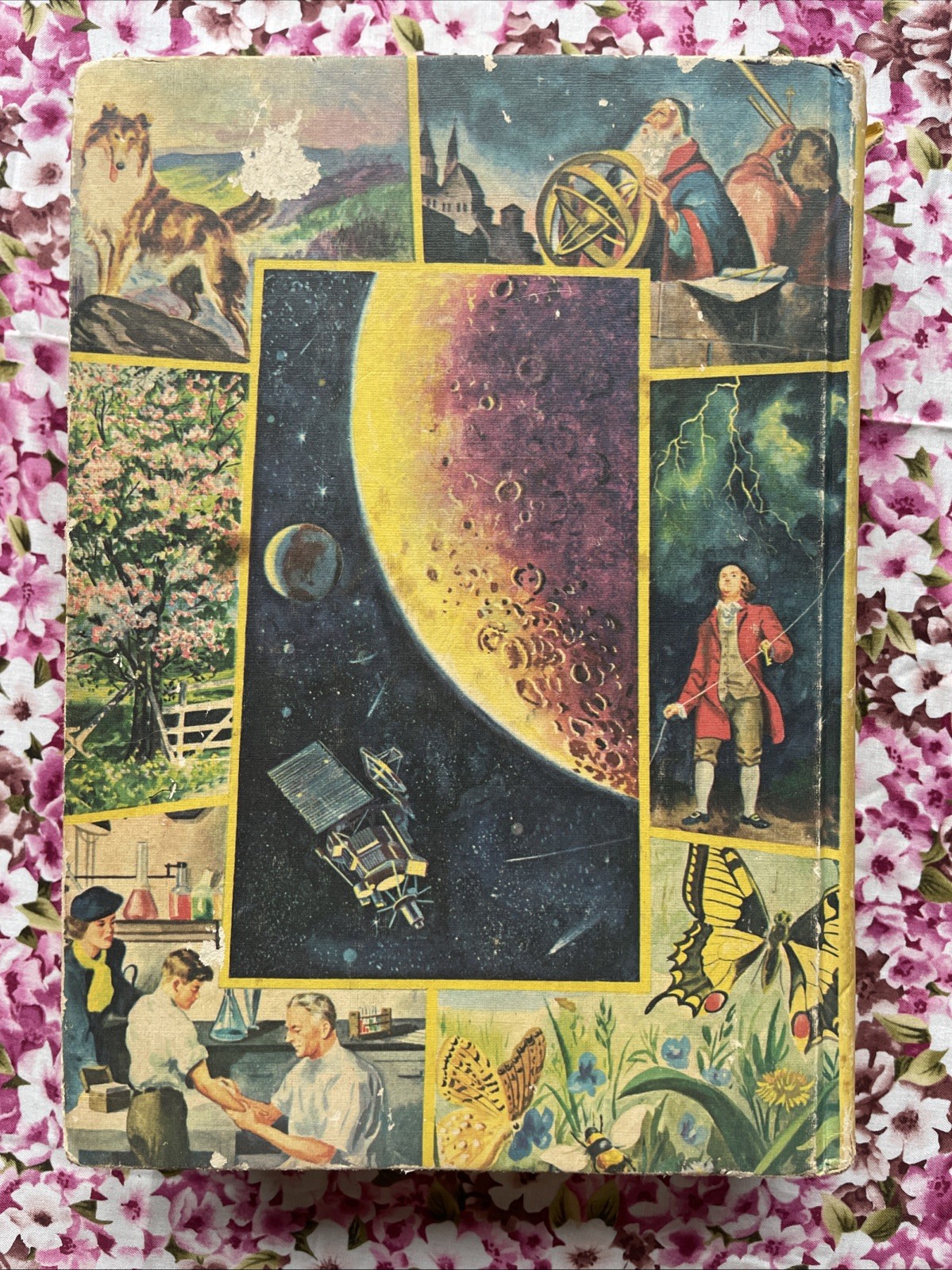 Children’s Guide to Knowledge Parents’ Magazine Press (1974 VTG Illustrated HC)