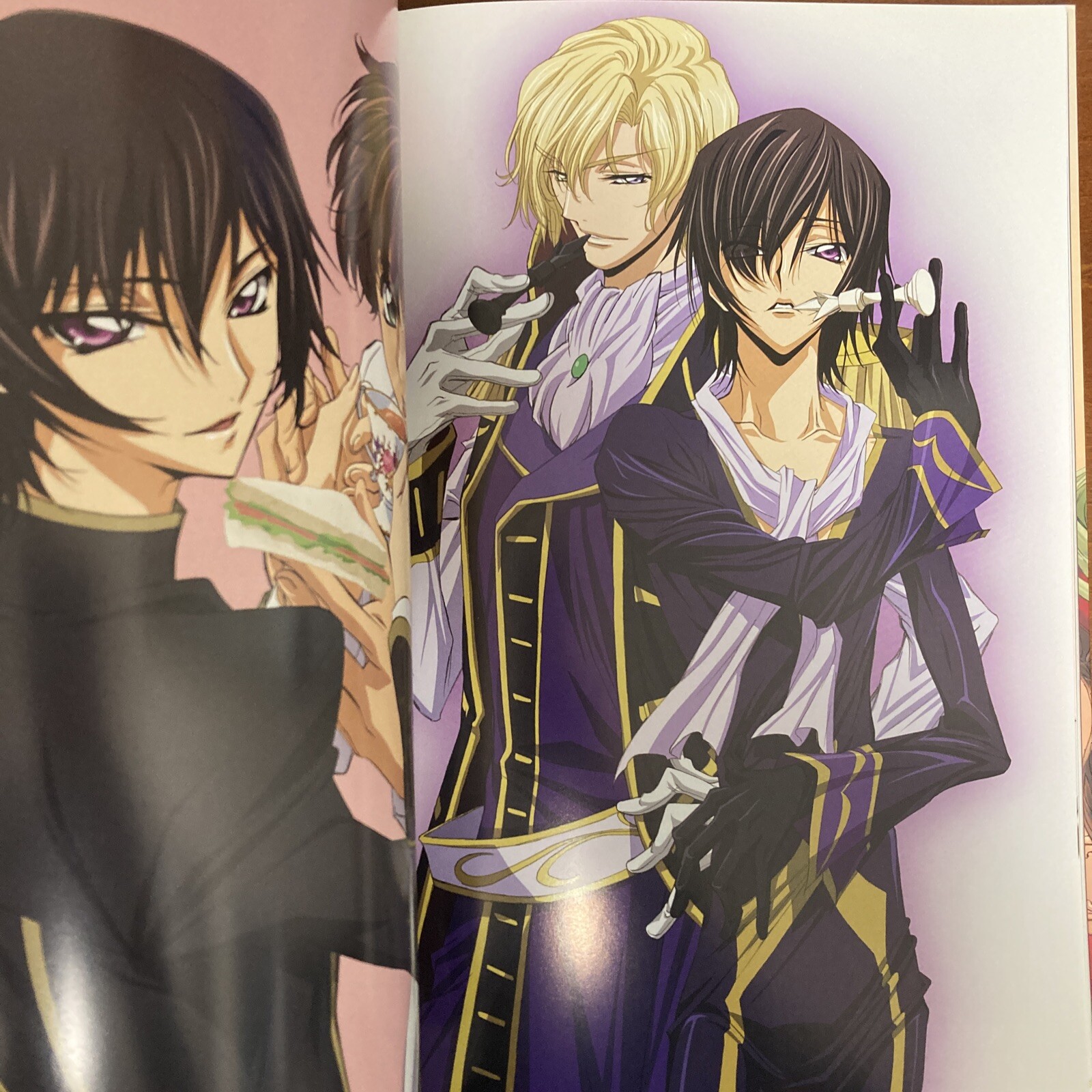 Code Geass Lelouch of the Rebellion illustrations Rebels Art Book