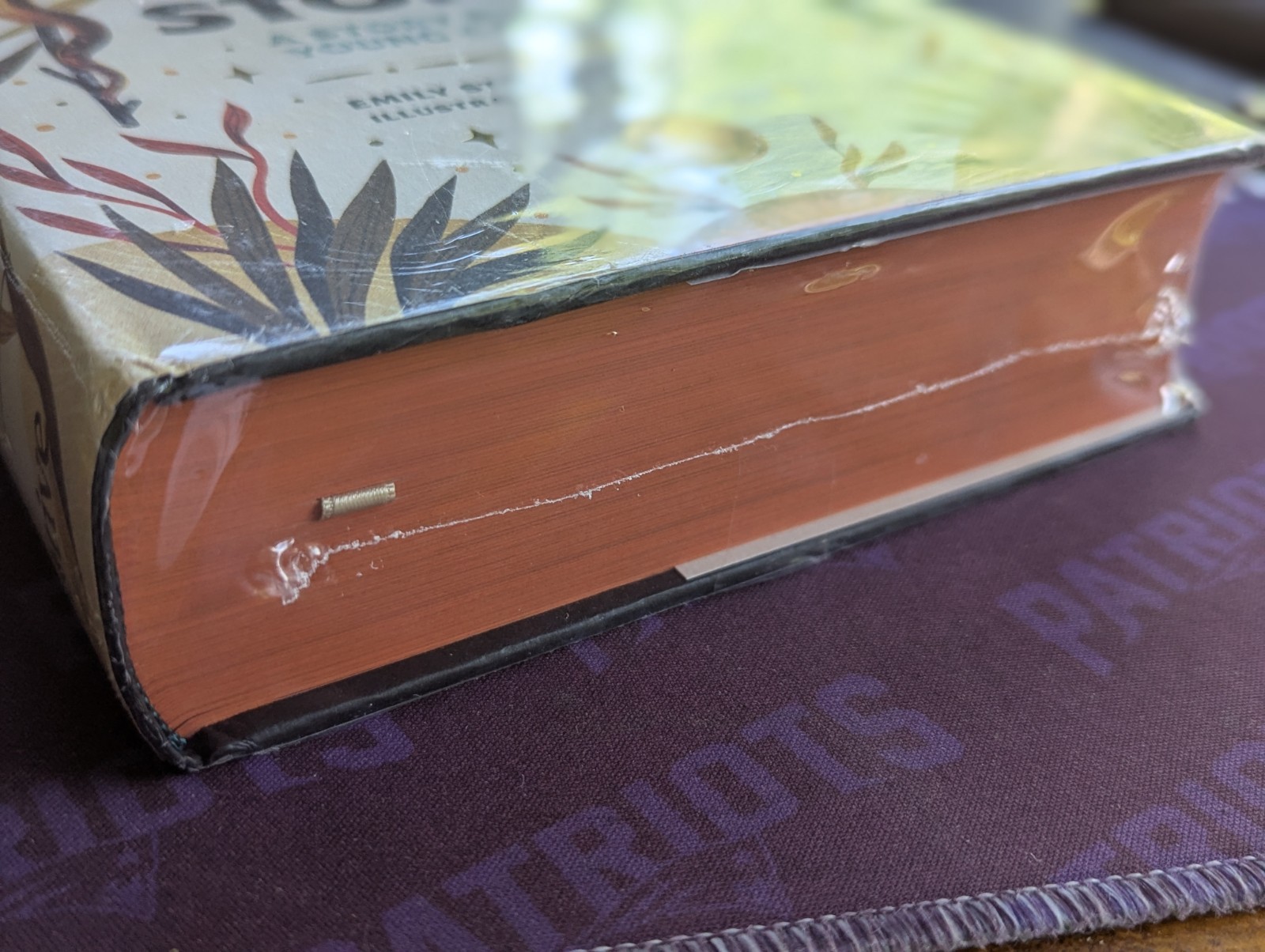 The Story of All Stories: A Story Bible for Young Catholics by Stimpson Chapman