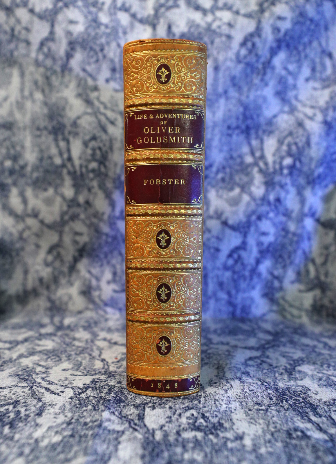 [Sh12] Fine Binding Zaehnsdorf, 1848, Adventures of Oliver Goldsmith, J Forster