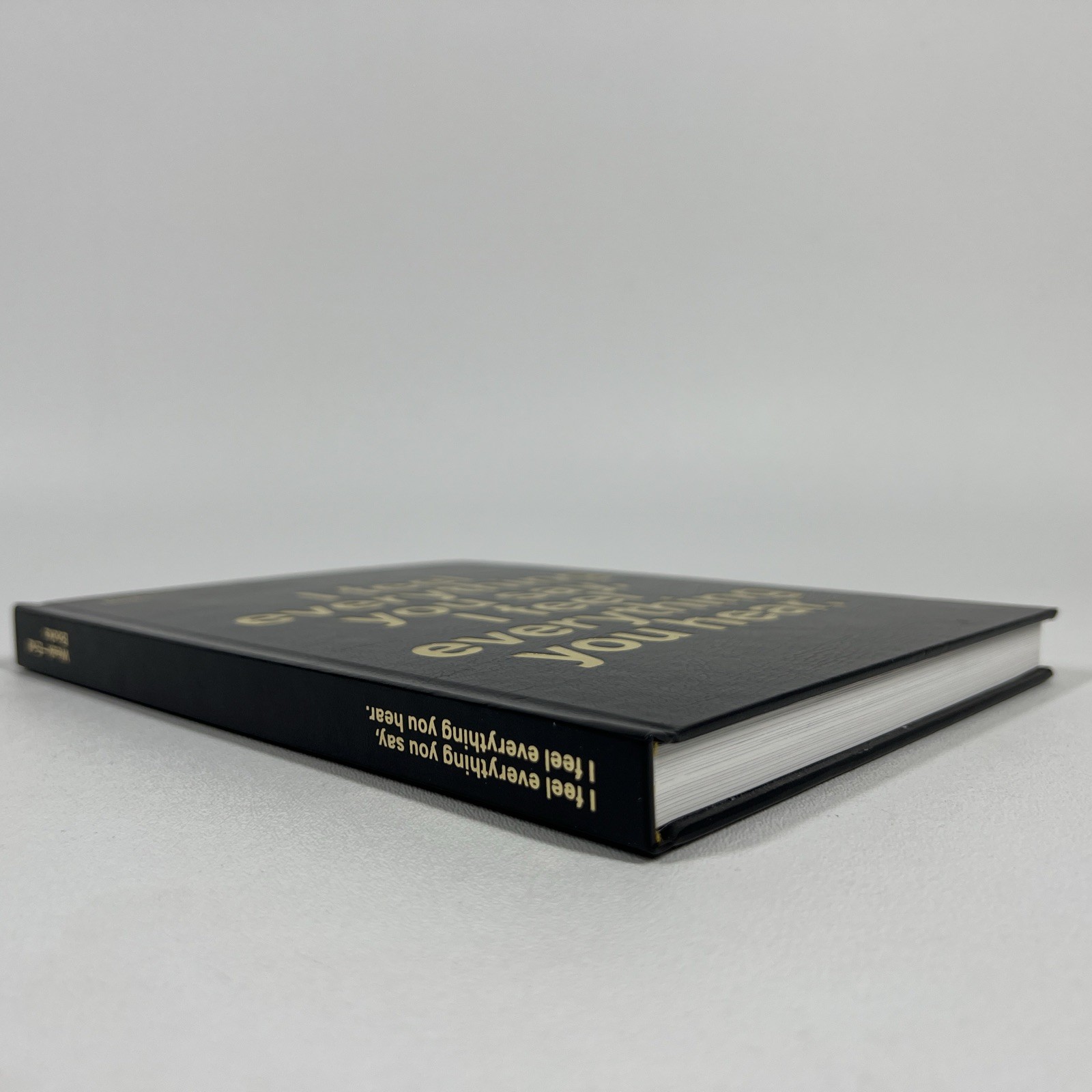 I Feel Everything You Say Hear Music Art Book 1ST ED Limited HC Marshall Allen