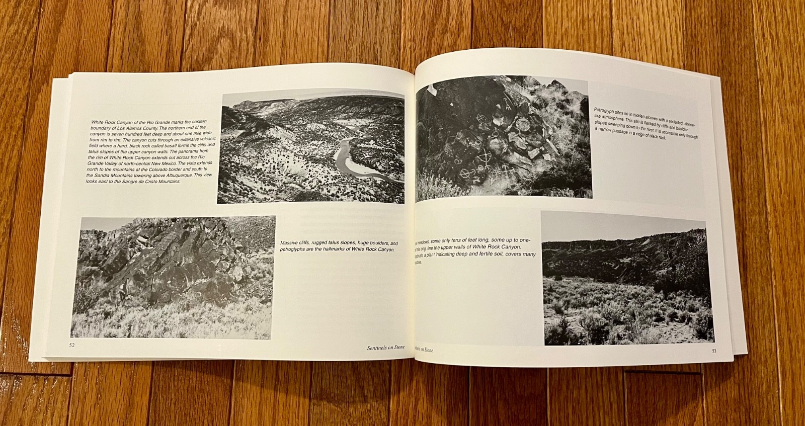 Sentinels on Stone: The Petroglyphs of Los Alamos by Lilienthal and Hoard (1995)