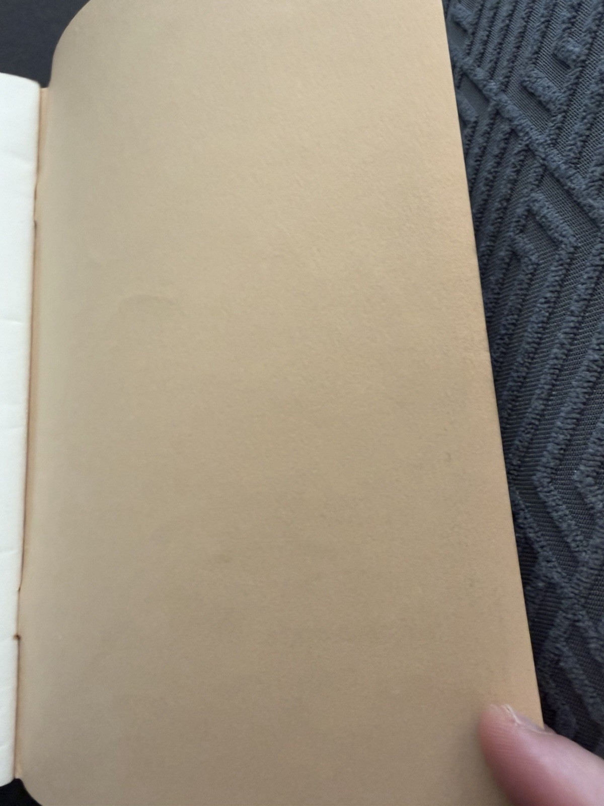 Book of Monsters 1976 Phil Edgren Little Soldier D&D 1st Print Dragon Cover