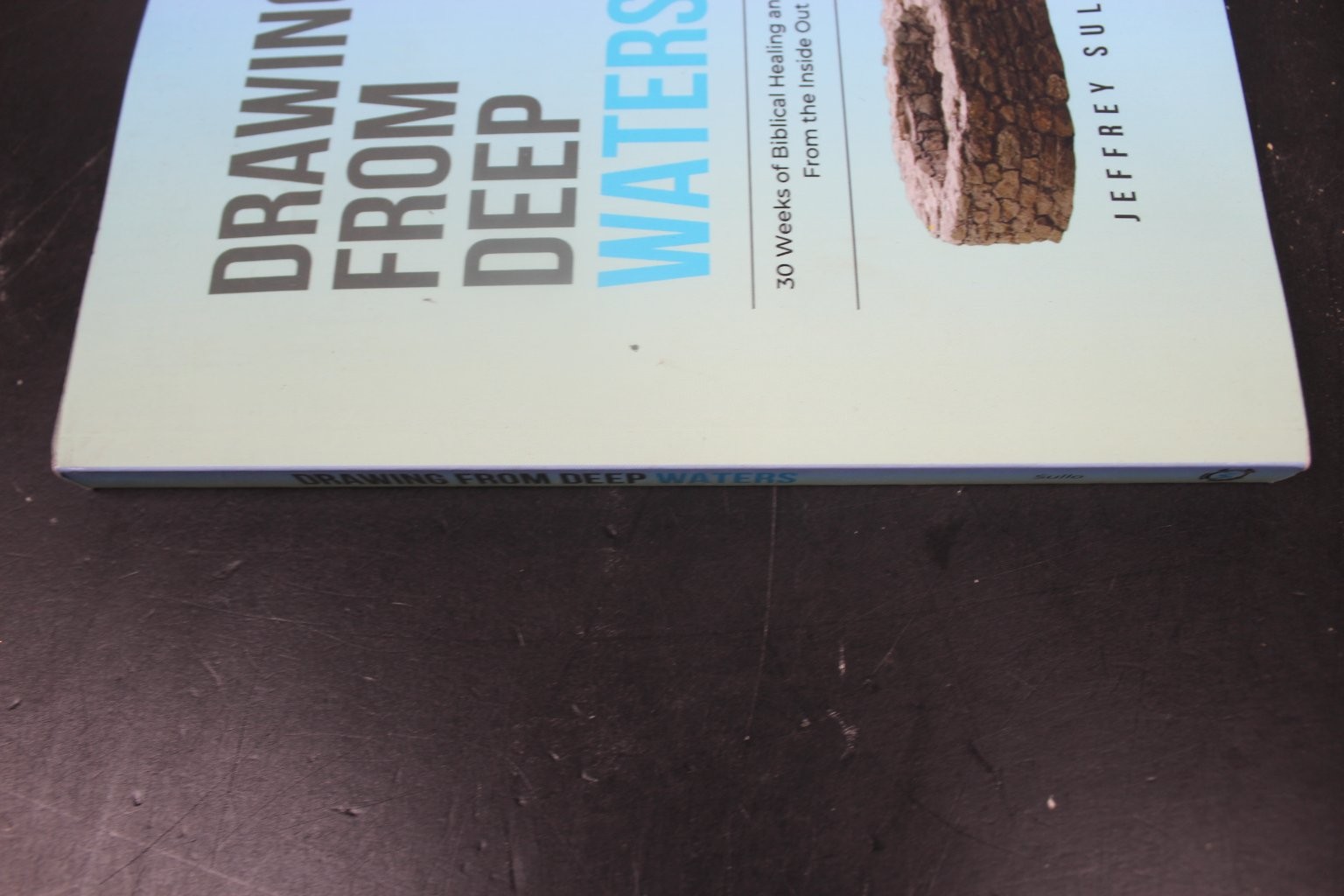 Drawing From Deep Waters Jeffrey Sullo 2023 Biblical Healing Devotional PB VG