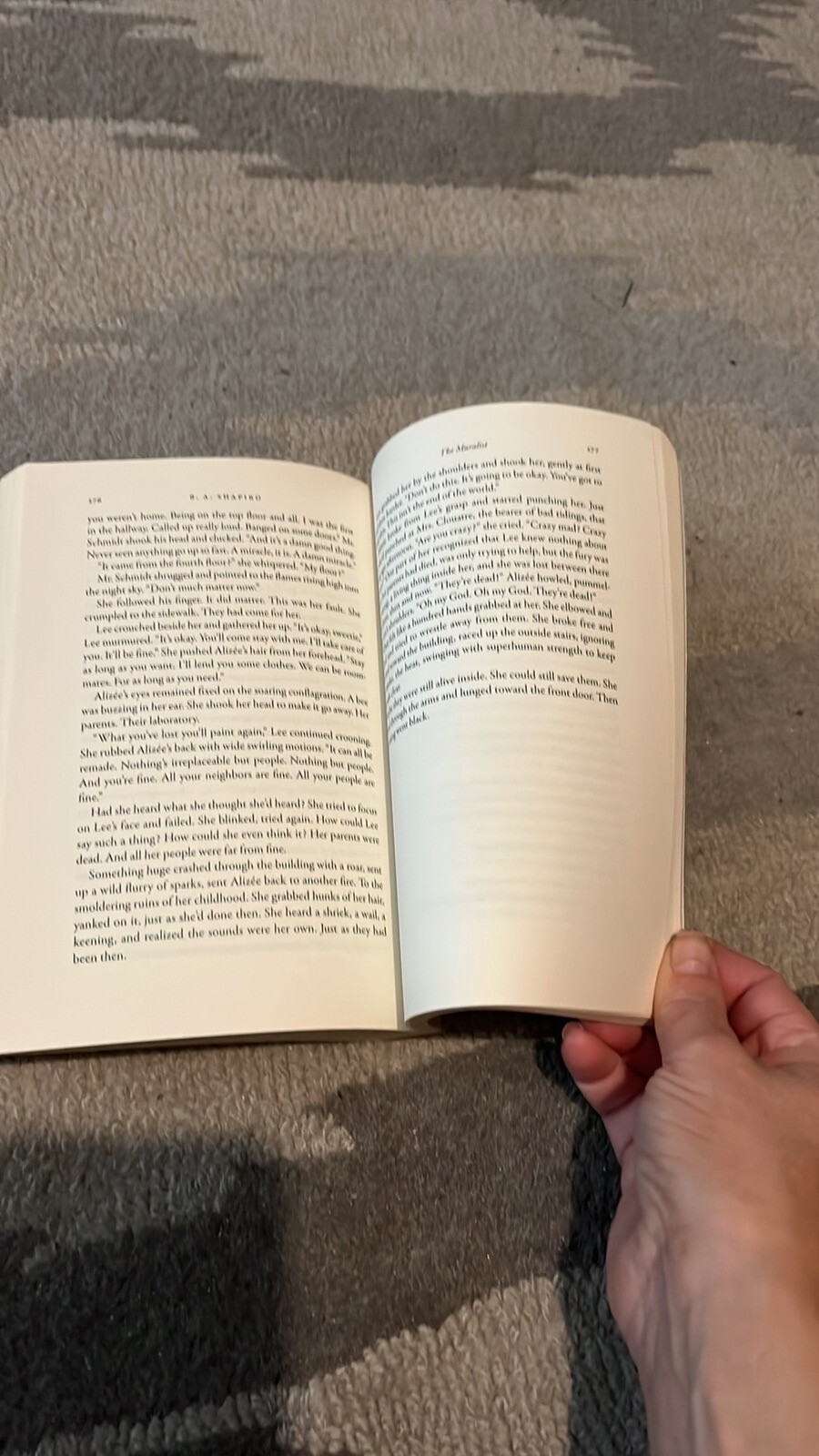 The Muralist paperback book by B.A. Shapiro. 337 pages.