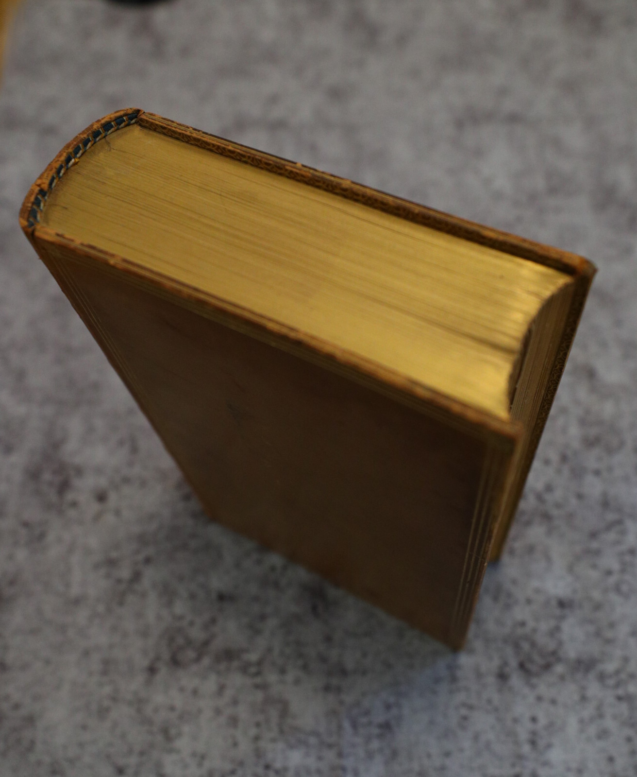 [Sh12] Fine Binding Zaehnsdorf, 1848, Adventures of Oliver Goldsmith, J Forster