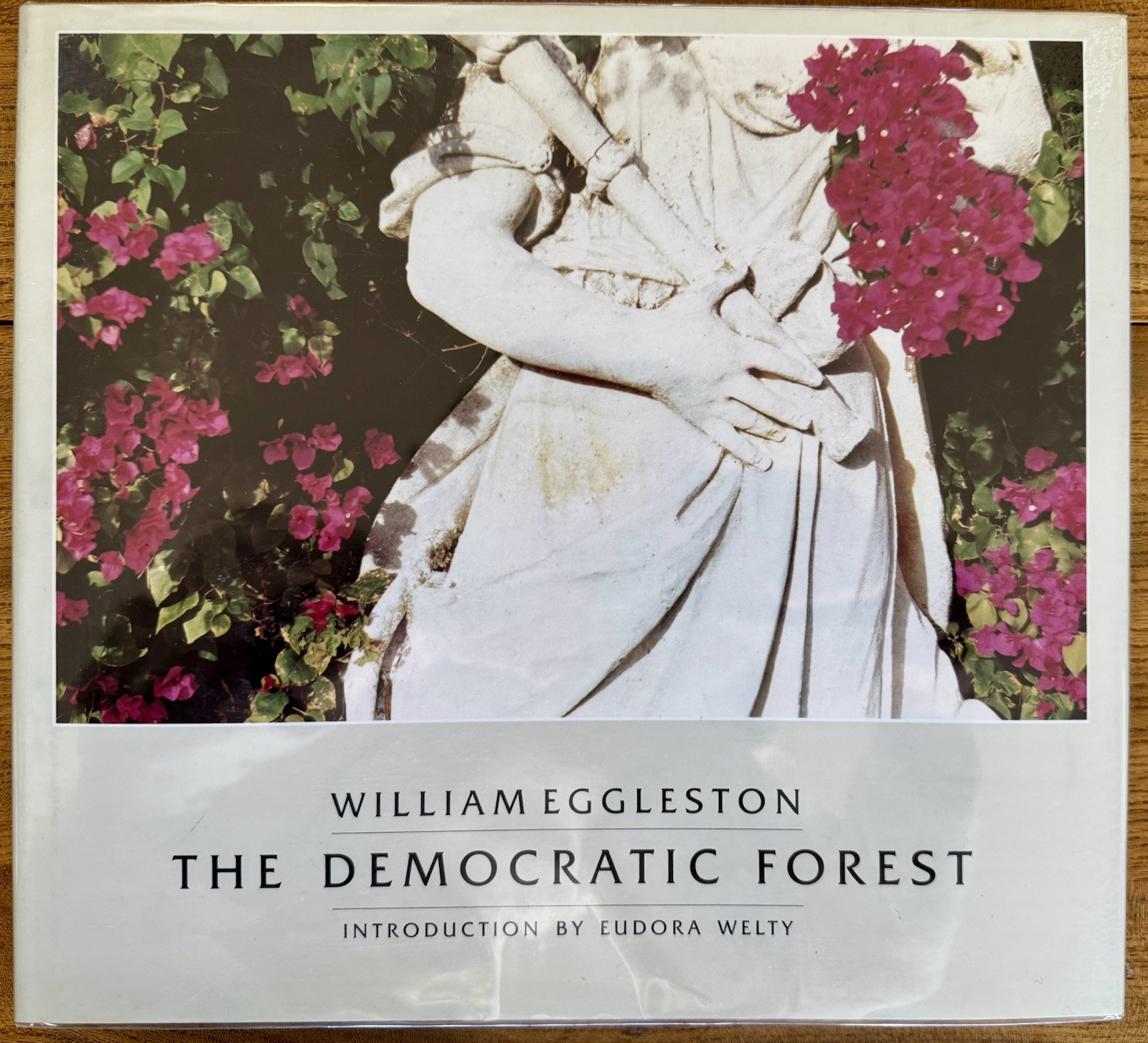 William Eggleston: The Democratic Forest, 1989; Excellent+ Cond. First Edition
