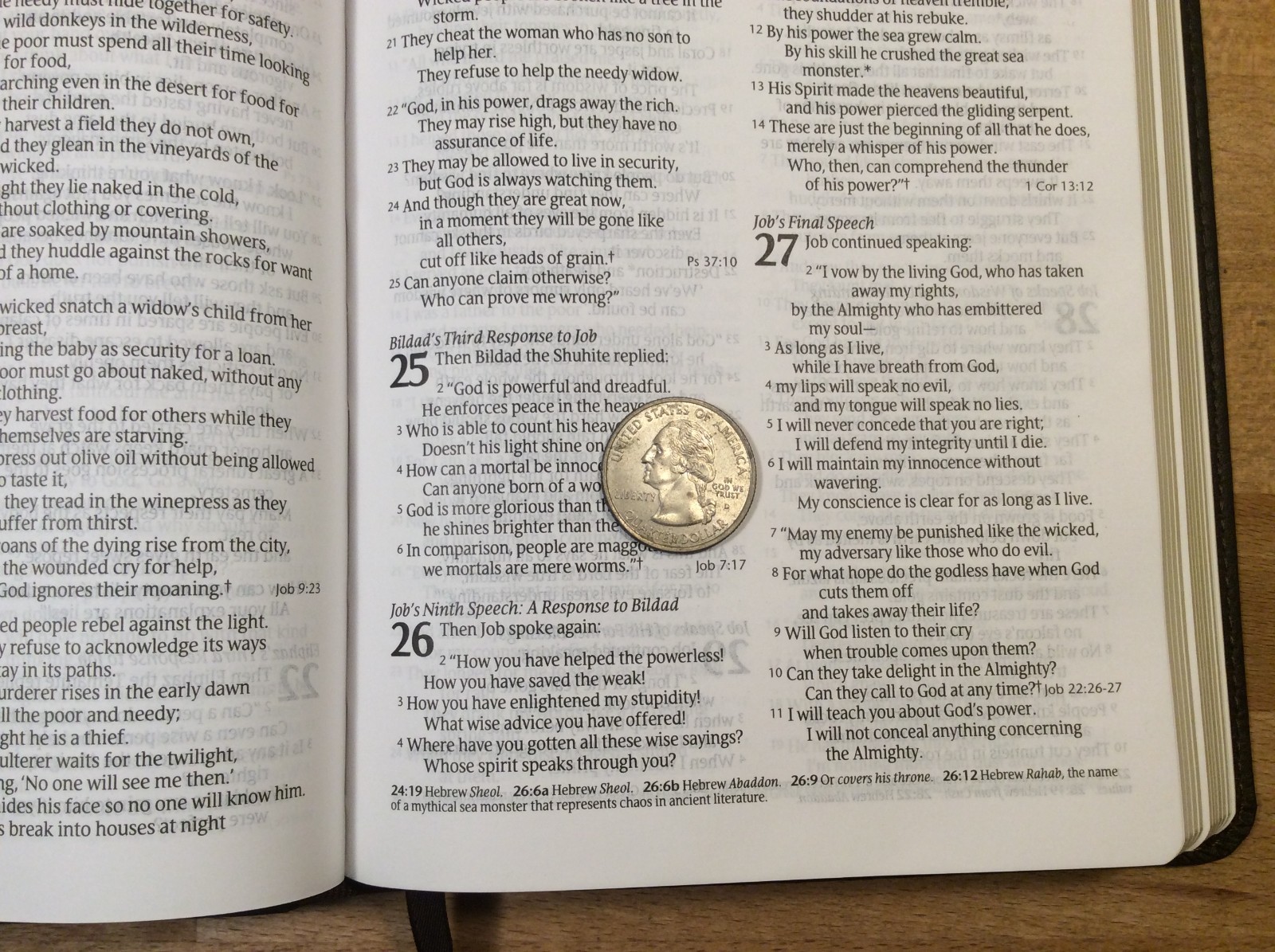 Holy Bible Slimline Reference Edition, New Living Translation, NLT, Tyndale