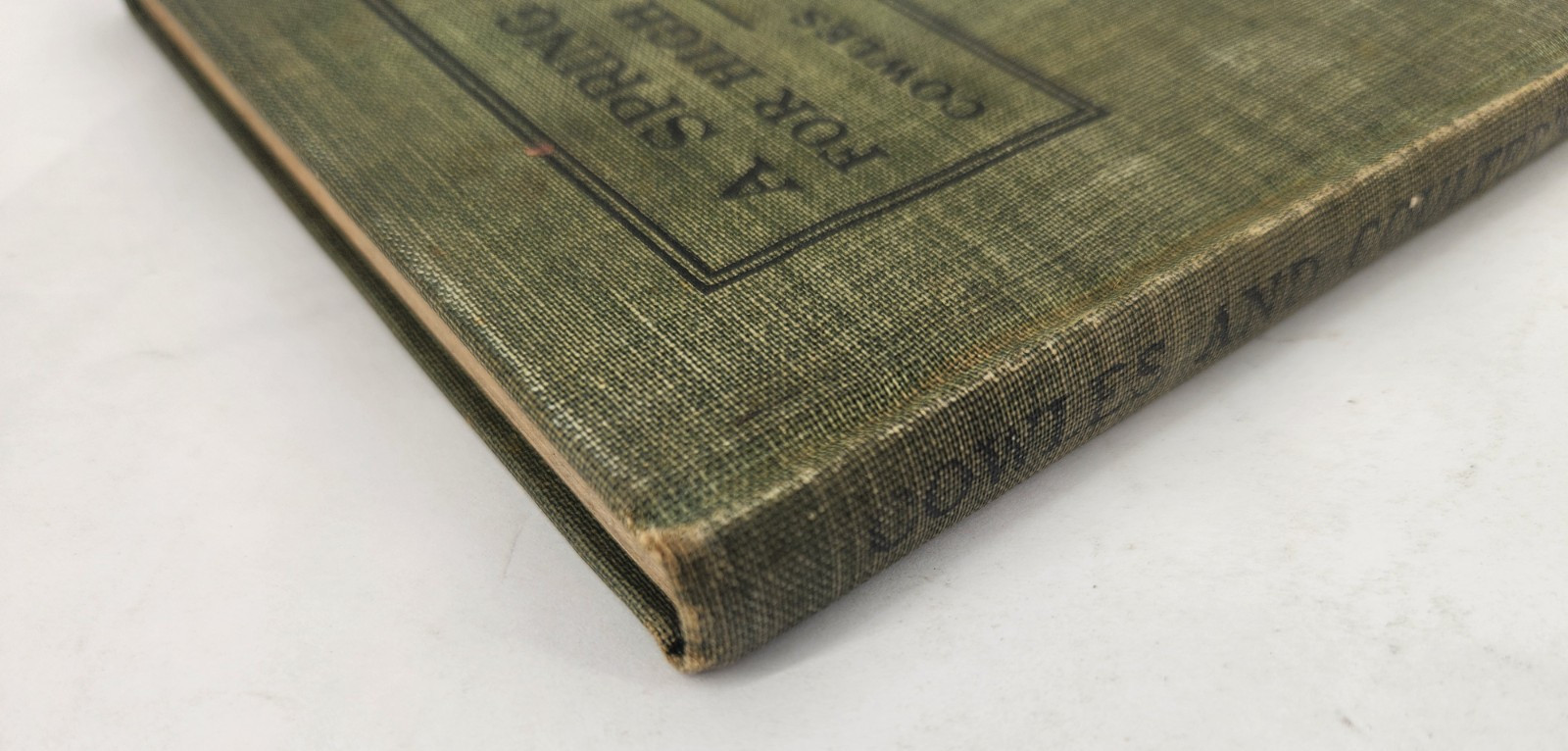 A Spring Flora for High Schools, 1915, HB, Illustrated, by Cowles & Coulter