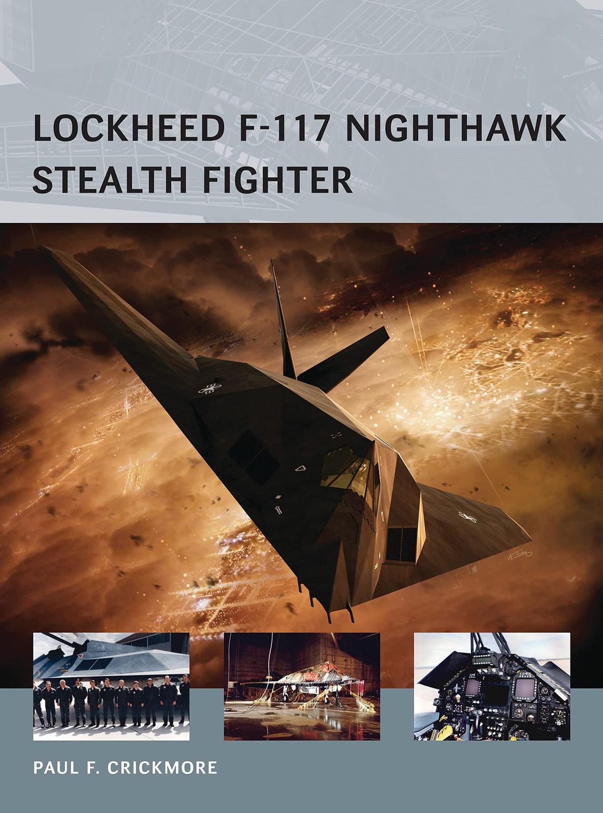 Lockheed F-117 Nighthawk Stealth Fighter (Air Vanguard)