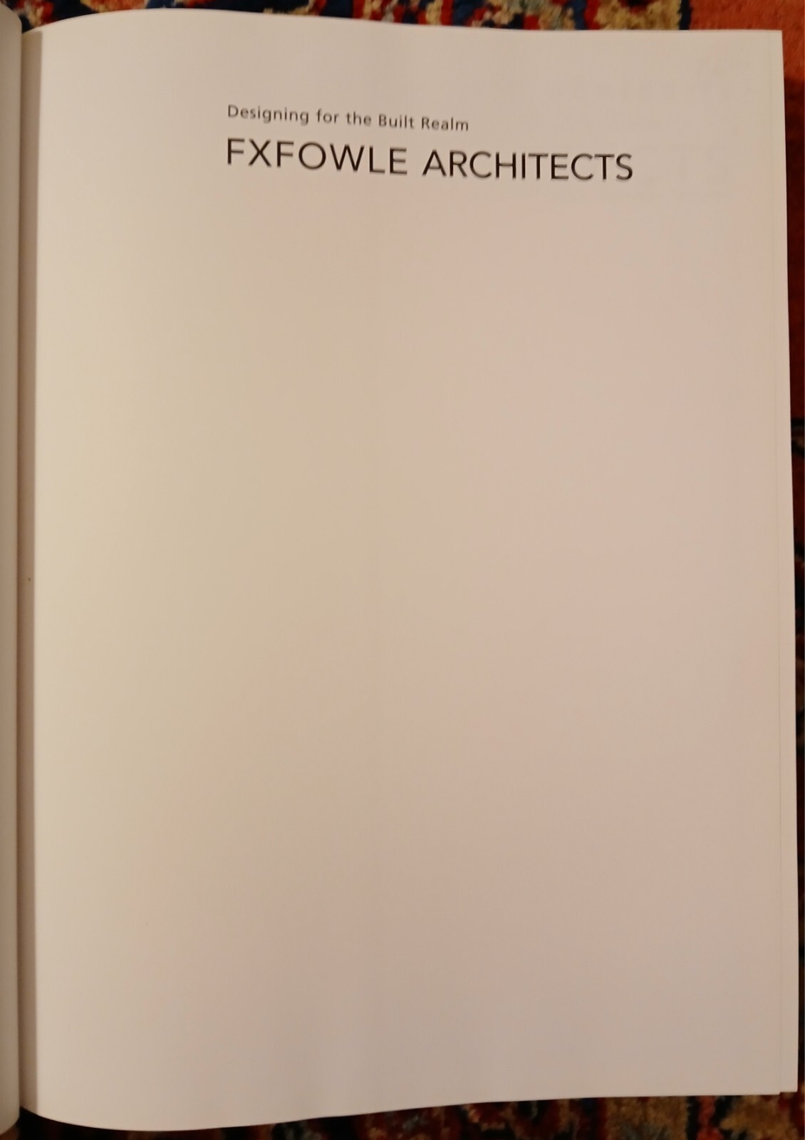 Fox & Fowl Architects, PC: The Master Architects Series by Kira Gould, excellent