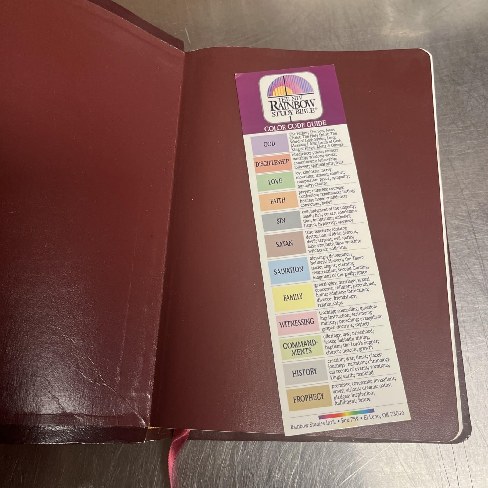 The NIV Rainbow Study Bible Bold Line Edition Illustrated English