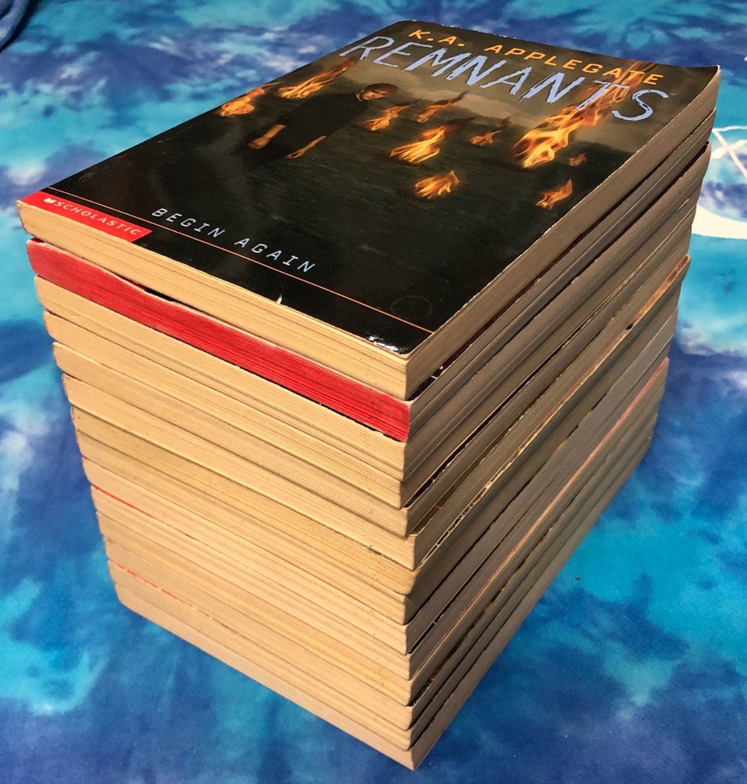Complete Remnants Series / K. A. Applegate / Lot of 1-14