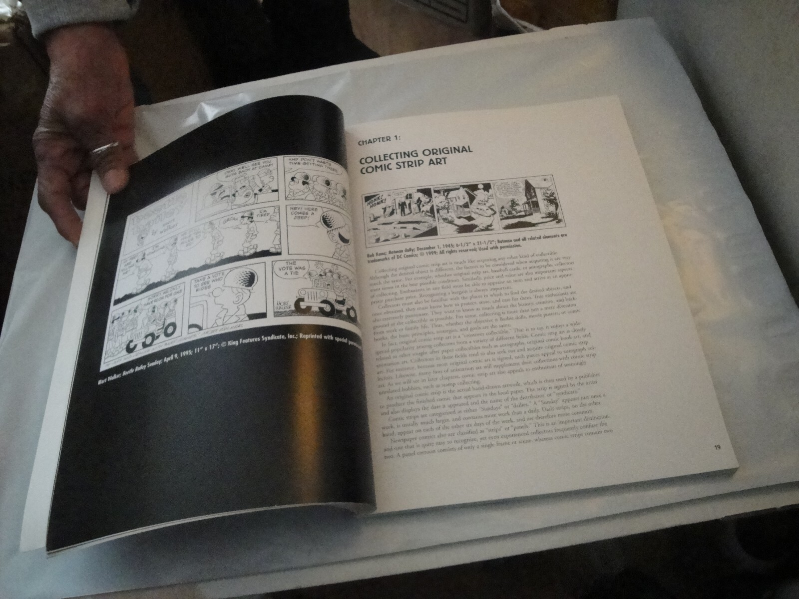 COLLECTING ORIGINAL COMIC STRIP ART! by Jeffrey M. Ellinport 135 pages 1st 1999