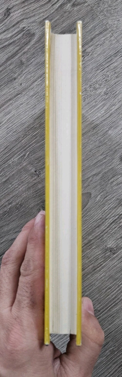 Interview with the Vampire Anne Rice 1976 Hardcover HCDJ