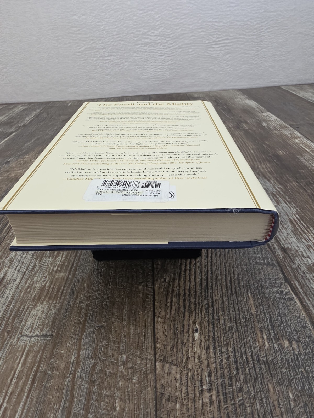 The Small & the Mighty by Sharon McMahon (2024, HC) AMERICAN HISTORY GOVERNMENT