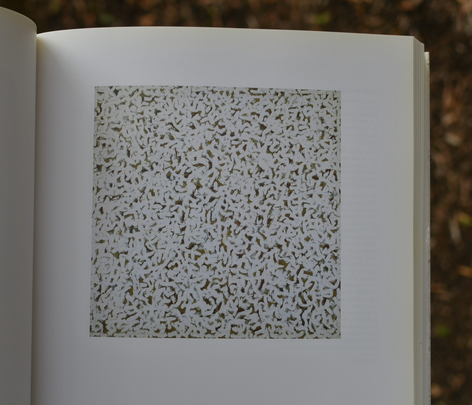 Robert Ryman By Robert Storr Softback: 236 pages   English Tate