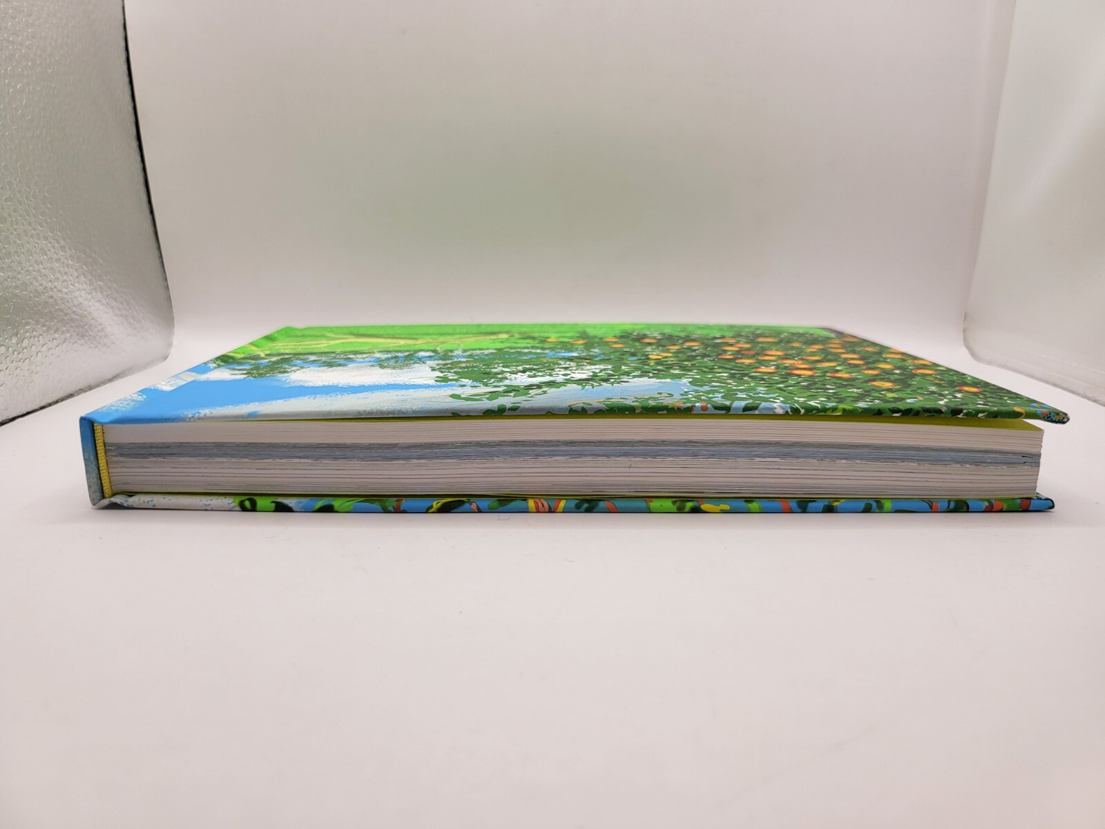 David Hockney Exhibition Official Catalogue 248 pages July 2023 Art Book Tokyo