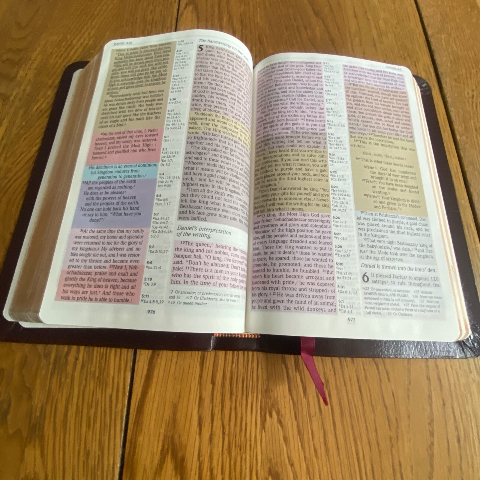 The NIV Rainbow Study Bible Bold Line Edition Burgundy