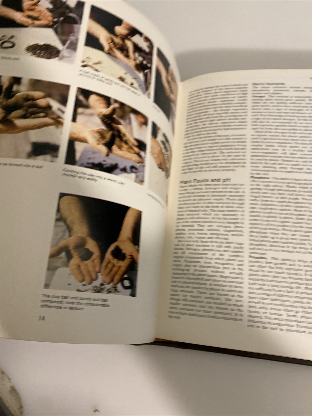 1977 Practical Gardening Encyclopedia Roy Hay abz